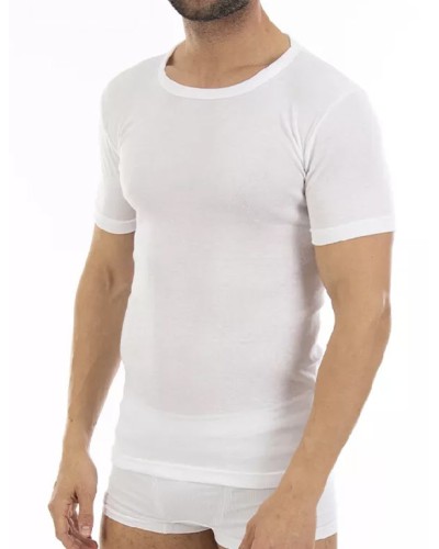 Lot x3 Tee-shirts Homme M/C Fraîches