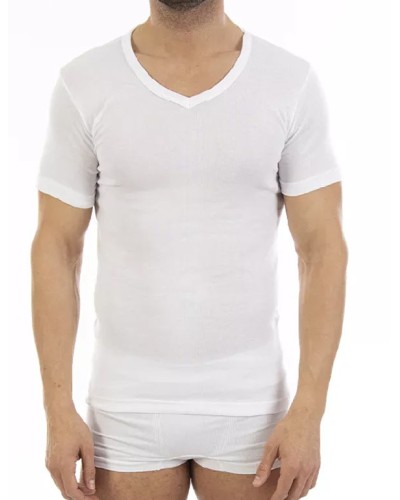 Tee-shirts Homme M/C Fraîches "V" x3